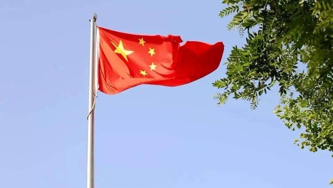虫虫助手下载